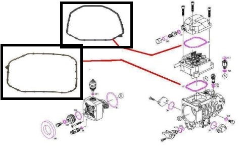 SEALS ADJUSTER PUMP HIGH PRESSURE FUEL PUMP TDI SDI TDS ORIGINAL BOSCH 2 PCS. photo 3 - milautoparts-fr.ukrlive.com