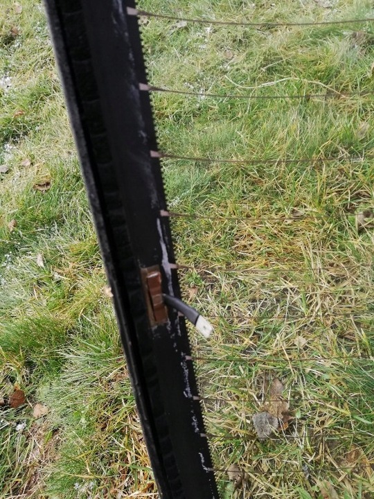 фото №4, Стекло задняя toledo ii 99-04