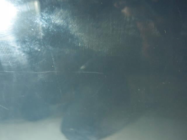 фото №7, Двері лівий задня повний peugeot 3008 2009r