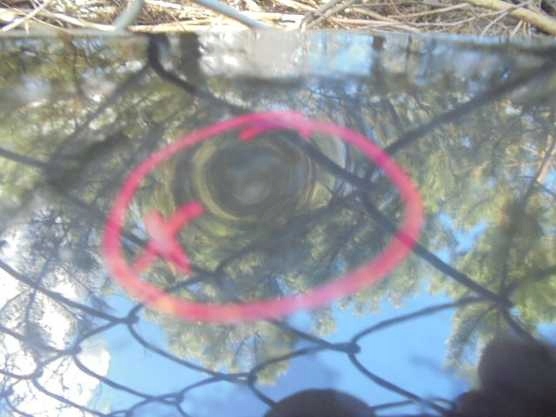 фото №4, Peugeot 607 кришка багажника задня задня задня