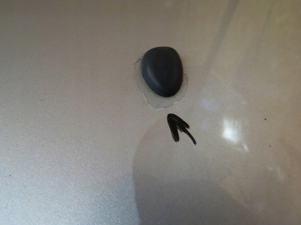 фото №6, Citroen c3 pluriel капот серебристая ezrc запчасти