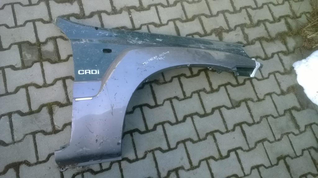 фото №1, Hyundai terracan передний правый крыло с молдинг